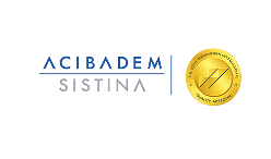 Sistina logo